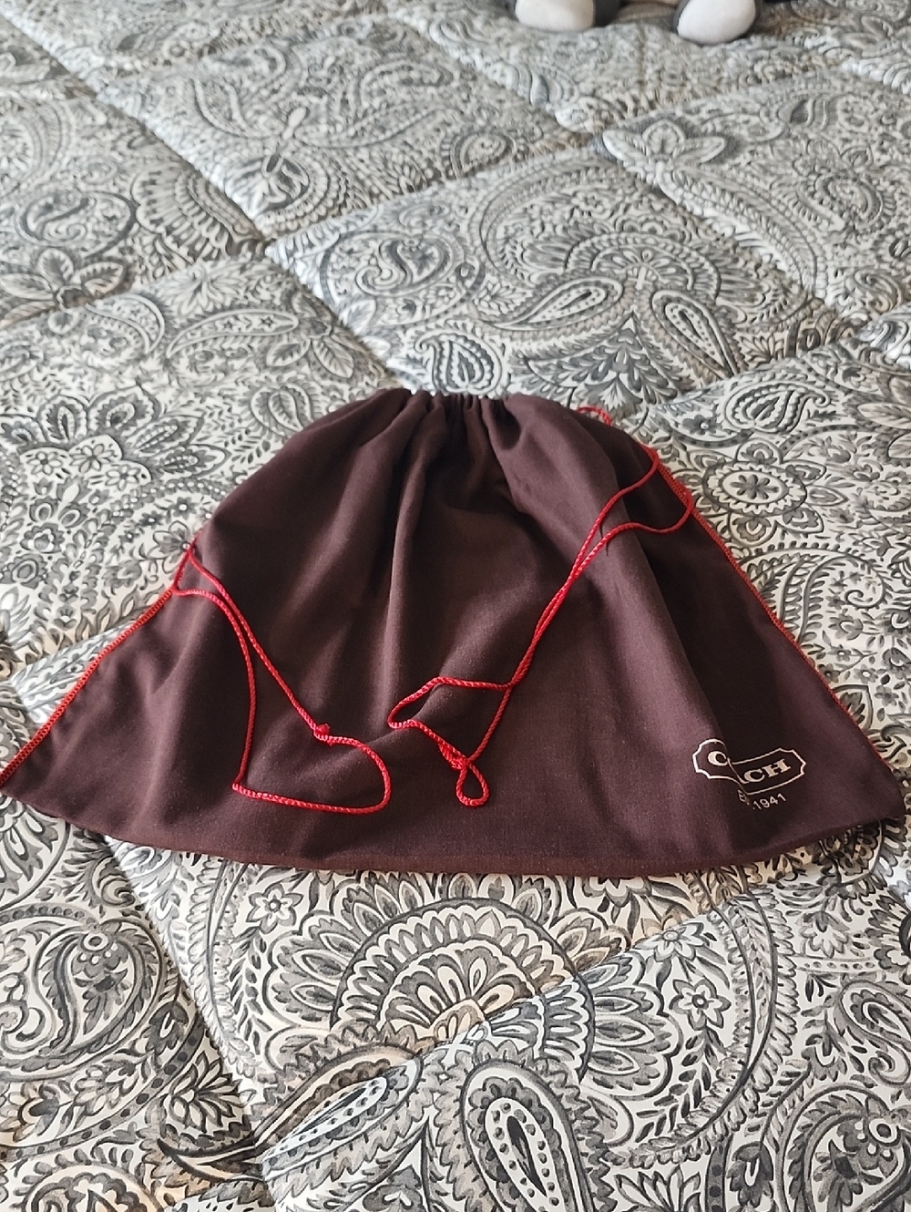 Coach Dust Bag (New)